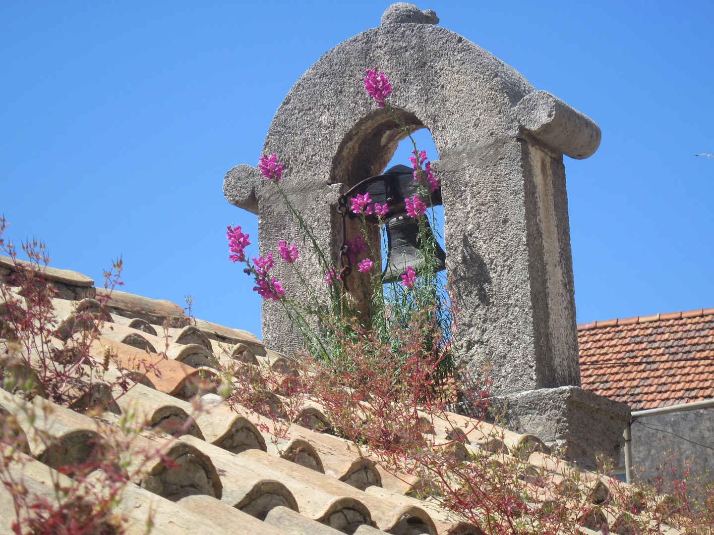 A stone bell-cote with wildflowers against a blue sky