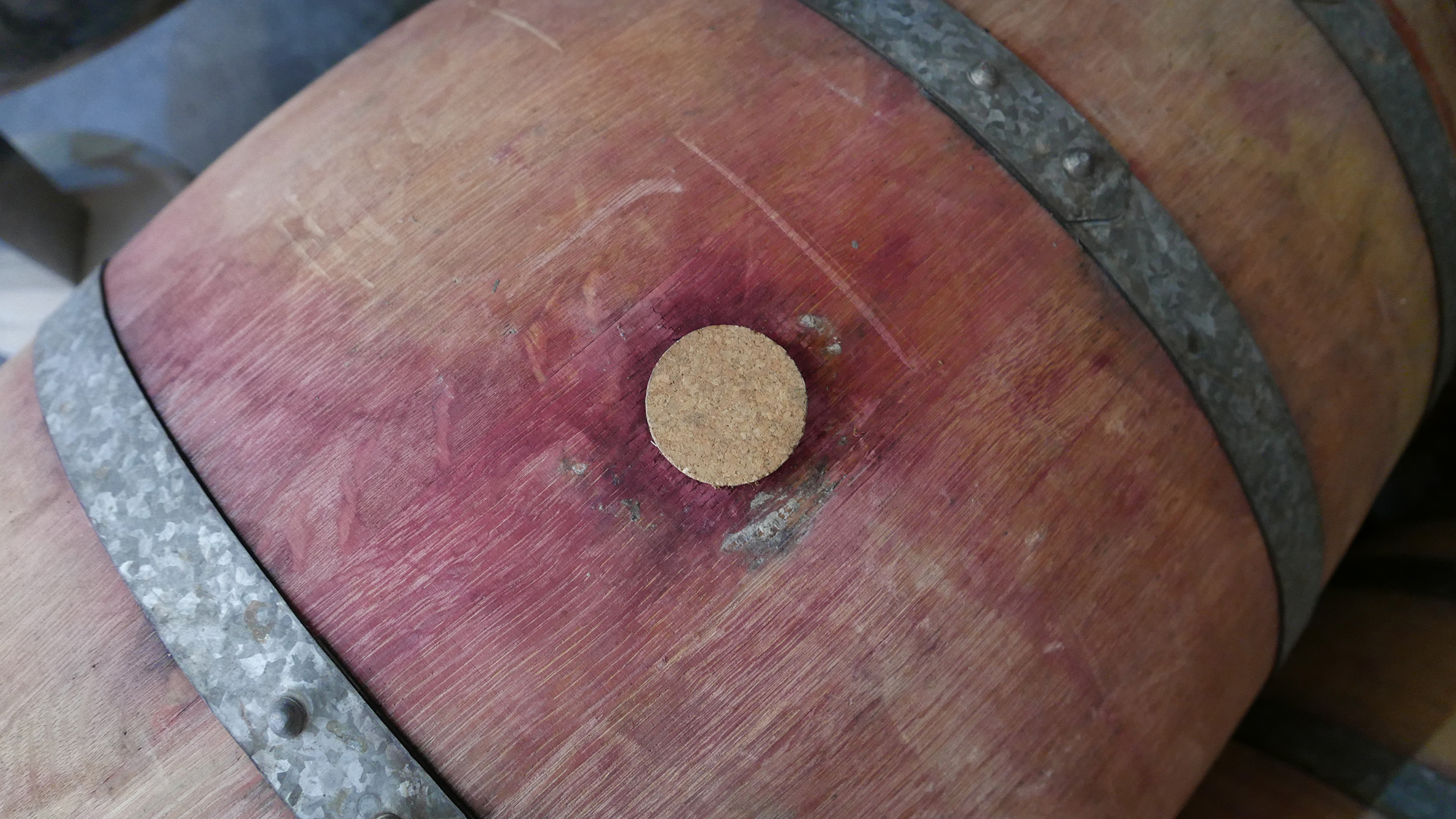 Wine-stained oak barrel head, close-up, with cork bung