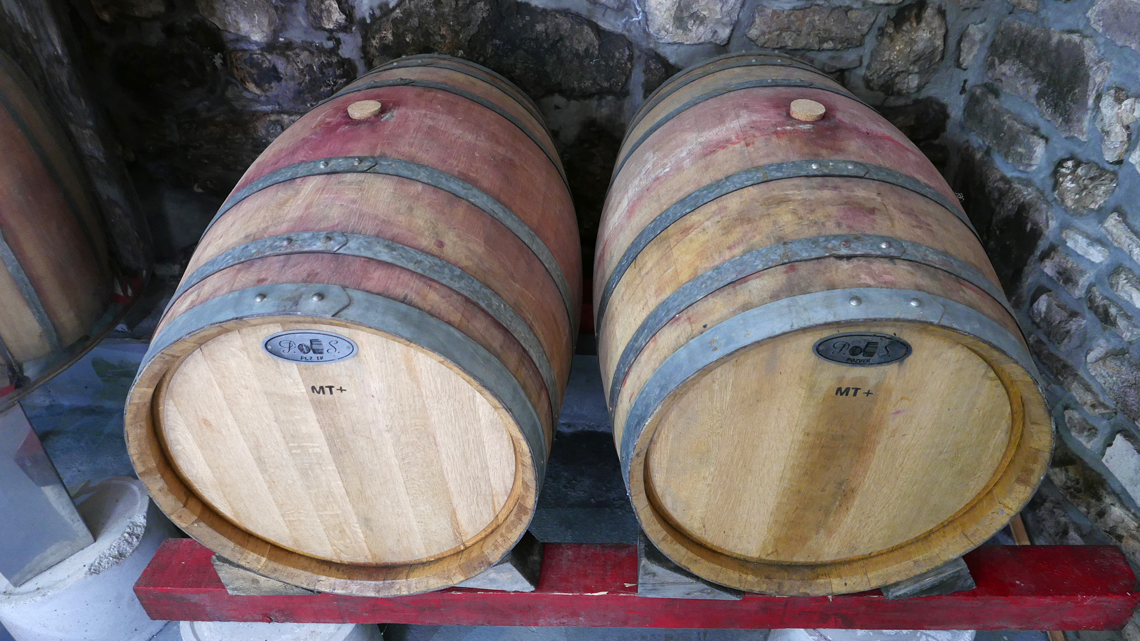 The row of oak barrels in the Barbazza cellar — oak of various ages, each marked MT