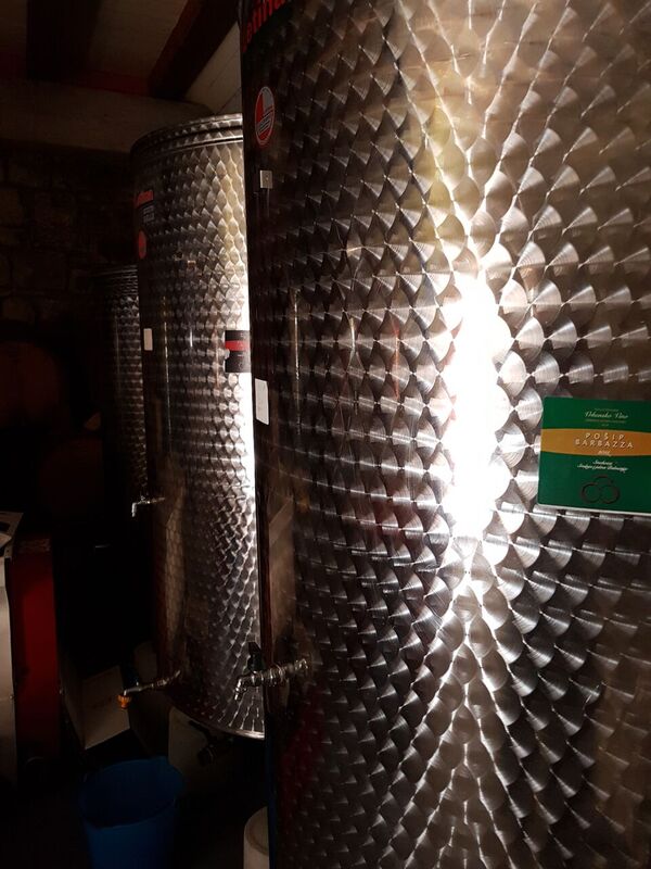 Stainless steel tanks in the cellar, Pošip Barbazza label visible