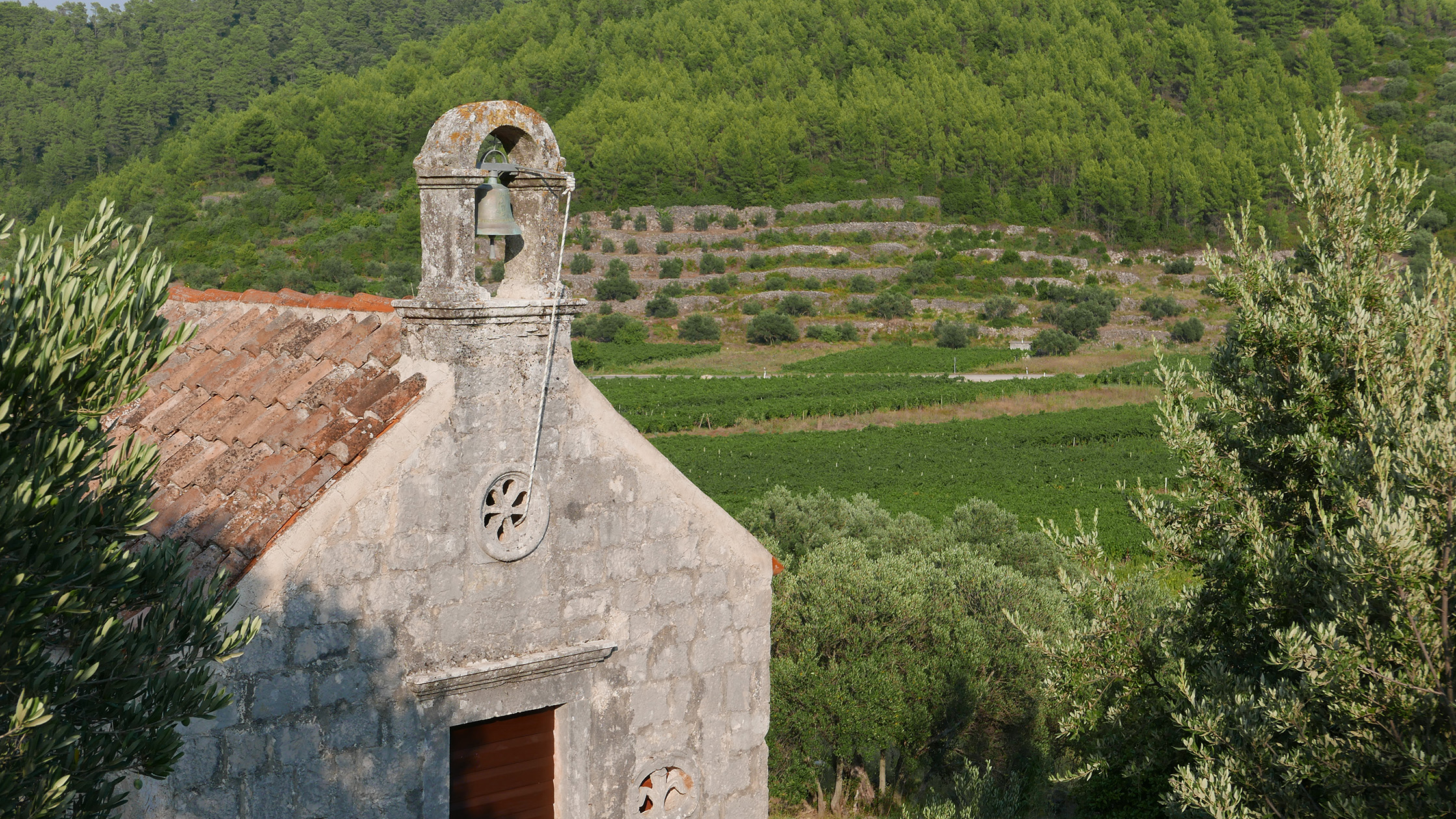The field chapel of Smokvica — the bell, the tiled roof, terraces and vineyards on the hill behind