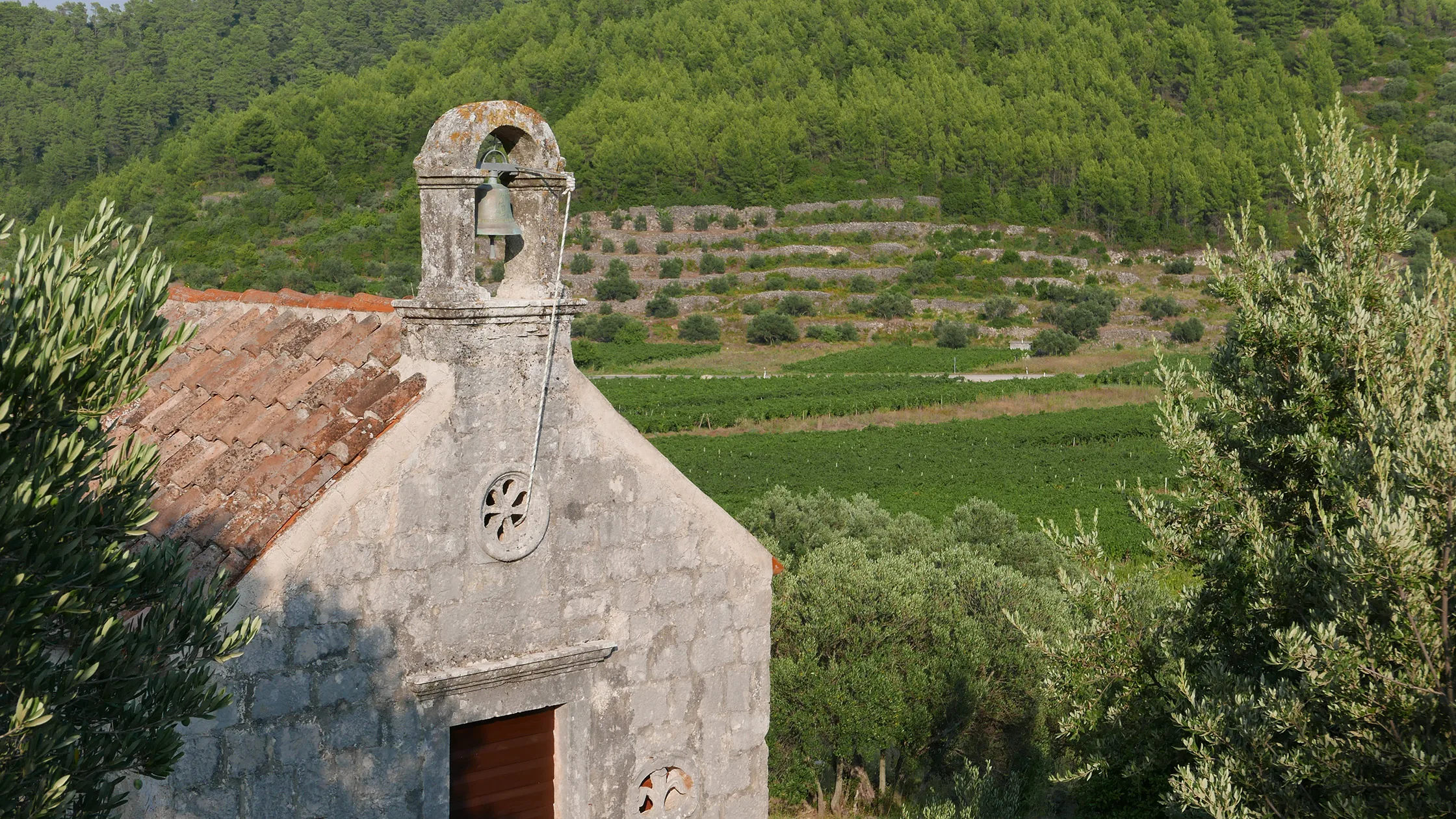 The field chapel of Smokvica — the bell, the tiled roof, terraces and vineyards on the hill behind