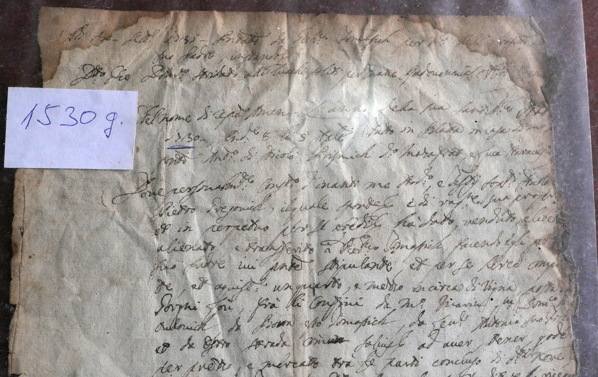 The 1530 deed of sale, the earliest Tomašić charter for vineyards at Smokvica