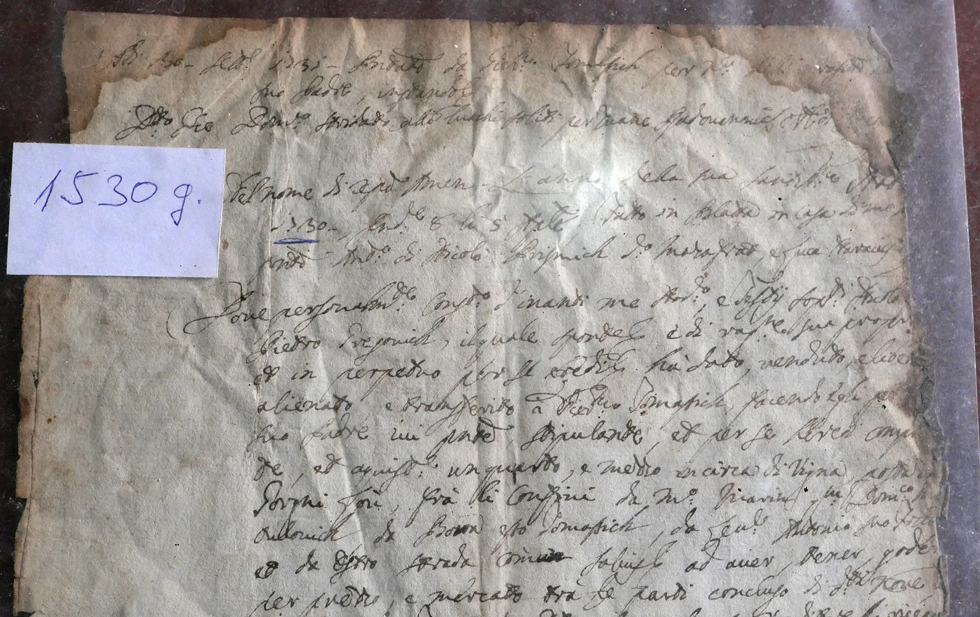 The 1530 deed of sale, the earliest Tomašić charter for vineyards at Smokvica
