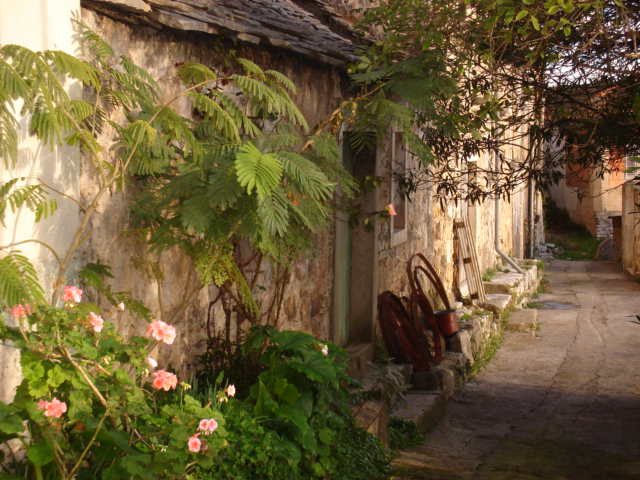 A flower-grown stone back-lane in the village