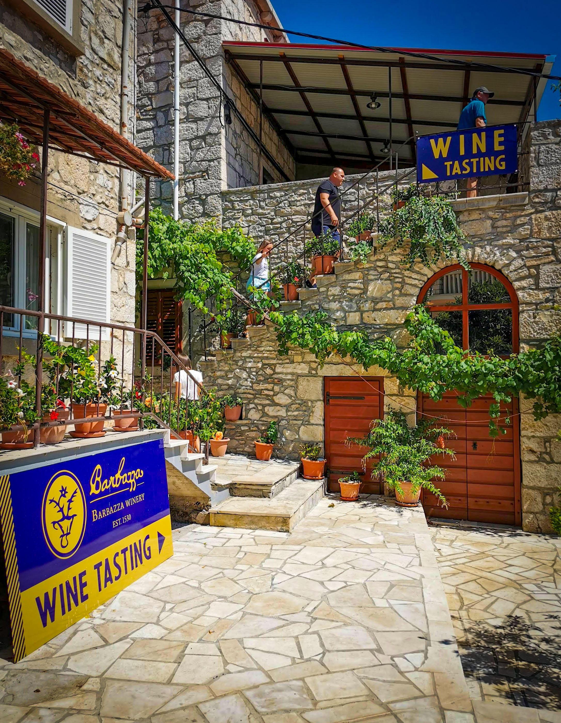 The external stone staircase climbing to the vine-covered terrace above the cellar